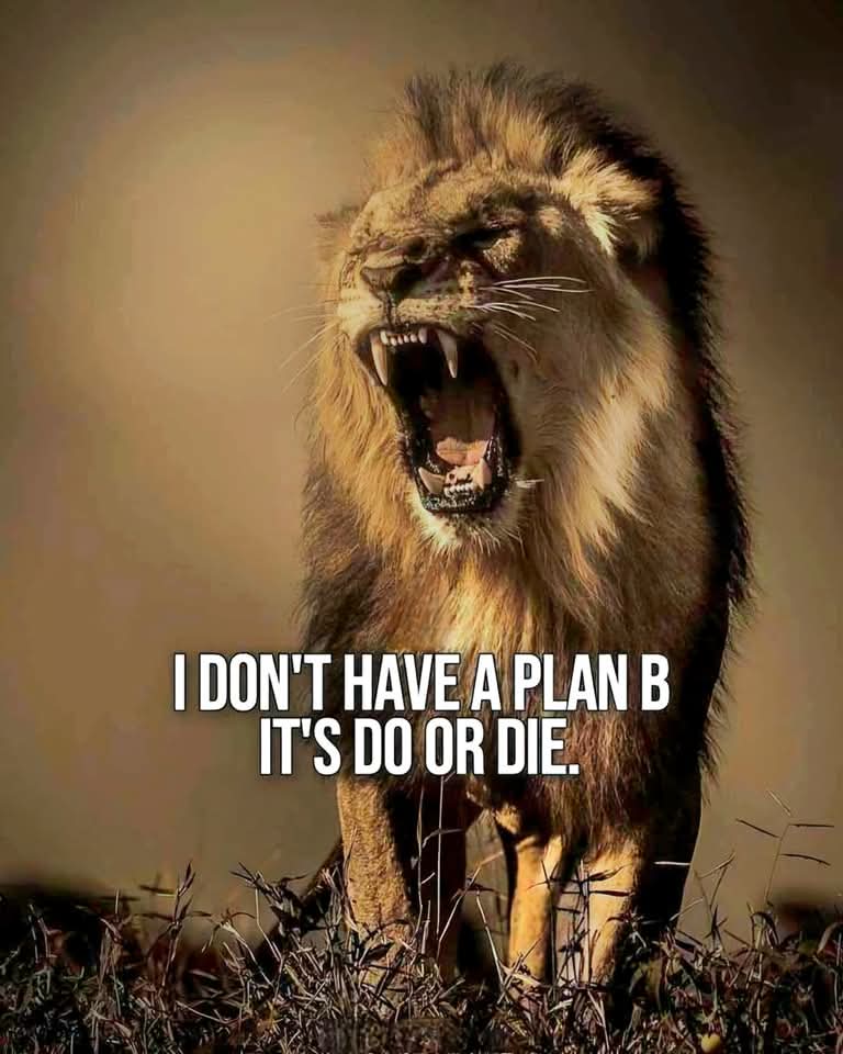 Capital Coin tweet media