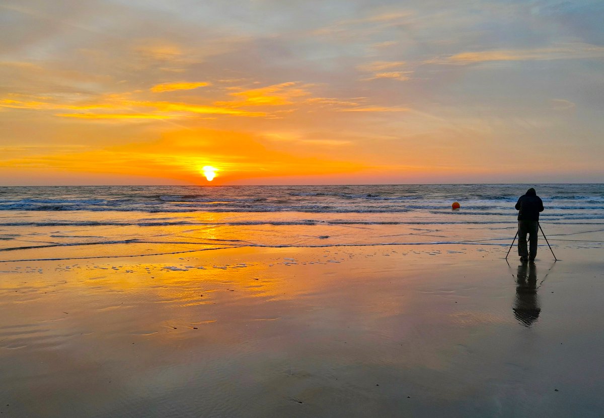 Sharing Life With Nature tweet media