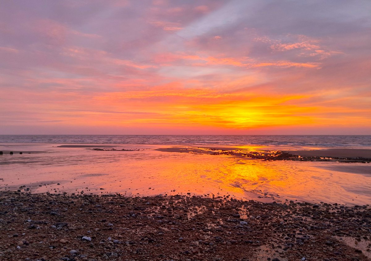 Sharing Life With Nature tweet media