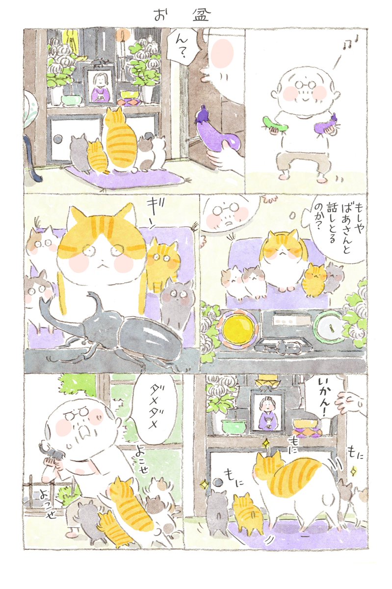 @nyanta_mikan @nekomaki_danna #猫のいる幸せ (5/10) 