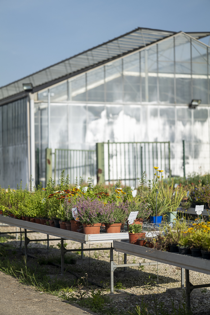 Cédric Stanghellini tweet media