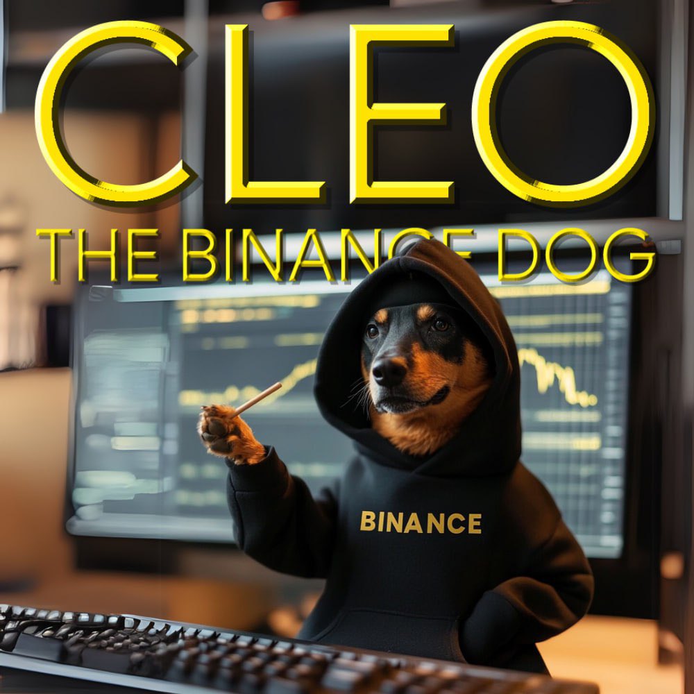 $CLEO is the most beautiful chart in Binance's recent history