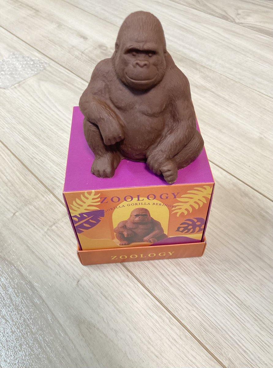 バレンタイン…🦍