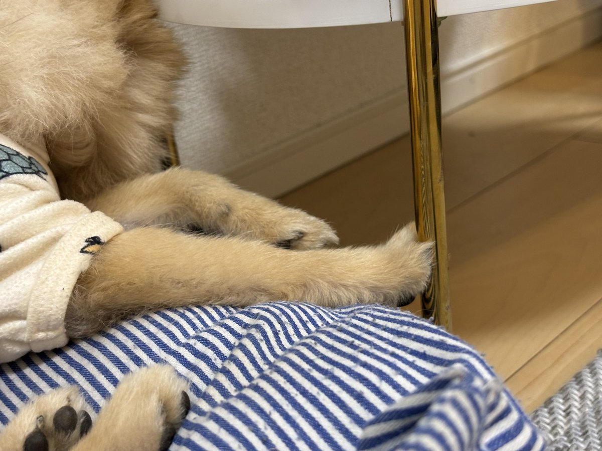 寝ながら器用にておててで掴んでるのポイント高い