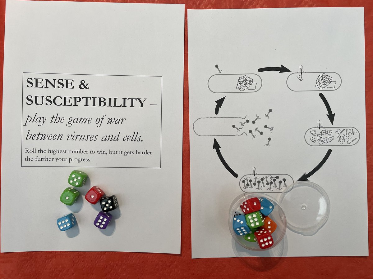 Connor G. G. Bamford, Ph.D tweet media