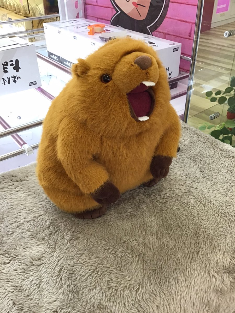 マーモット　音声ぬいぐるみ　3個セット 新品タグ付き】マーモット 音声ぬいぐるみ - メルカリ