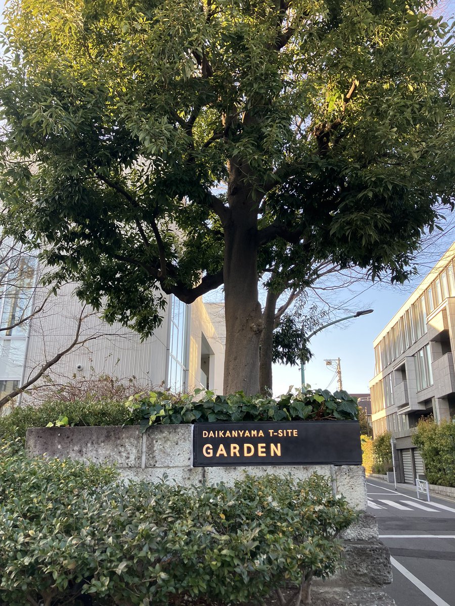 代官山は余裕が違う。