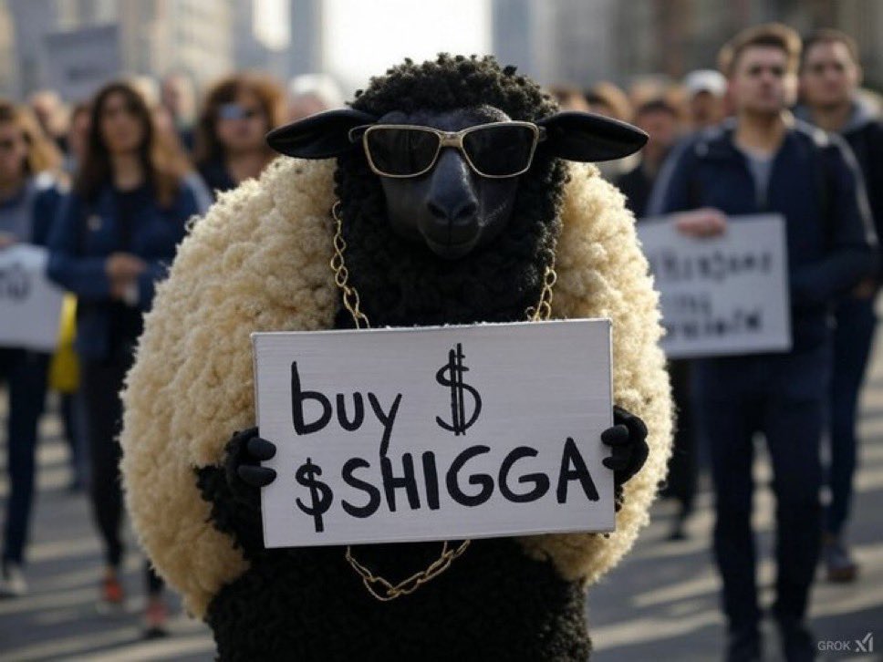 cryptomffn's tweet photo. @SharksCoins Having a bag of $shigga is a must @realshigga https://t.co/P7FHEugL09