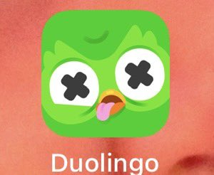 swingbird8's tweet photo. 😱

#Duolingo https://t.co/vldwIWNVrq