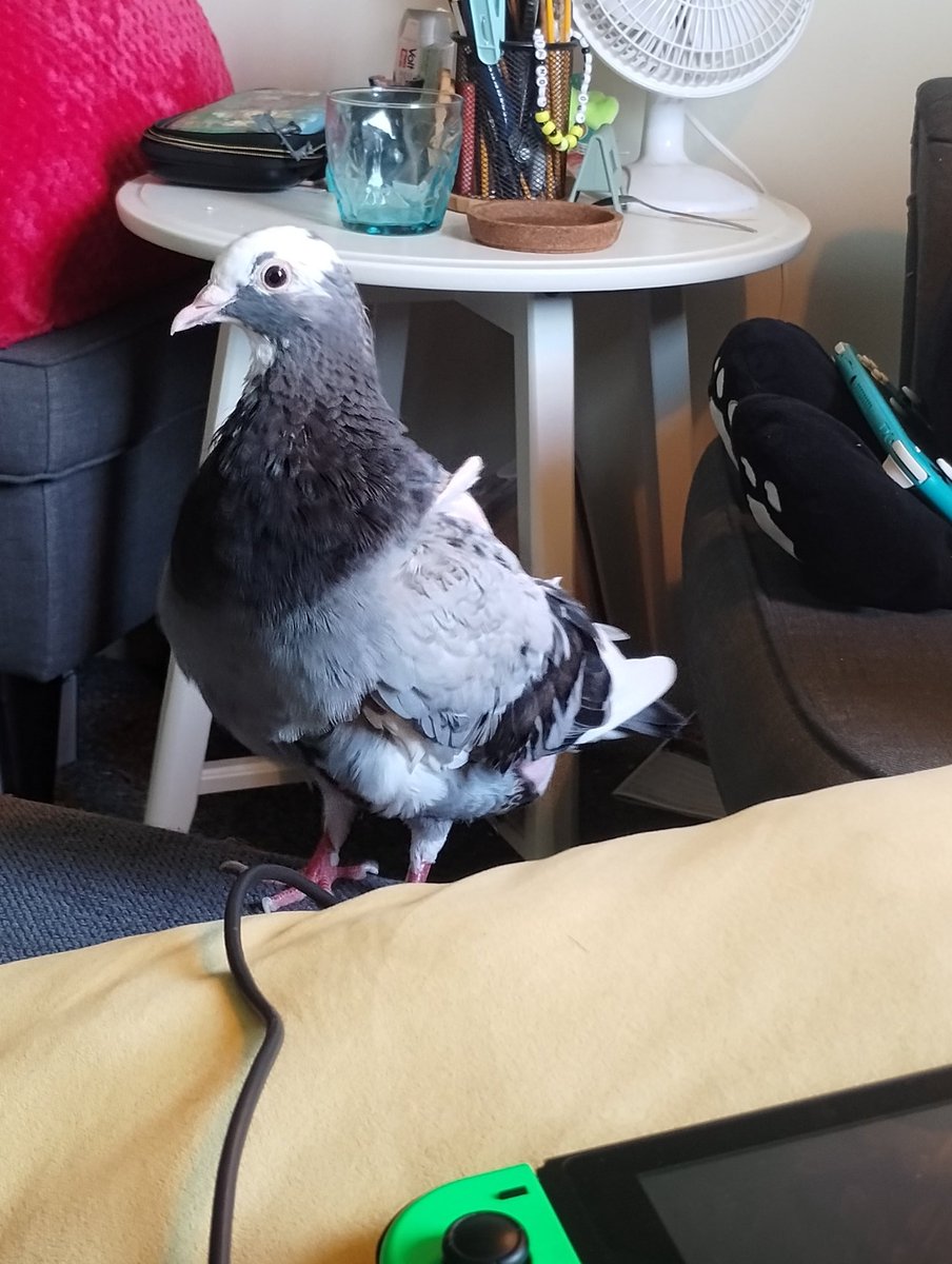 He likes my company 🥰