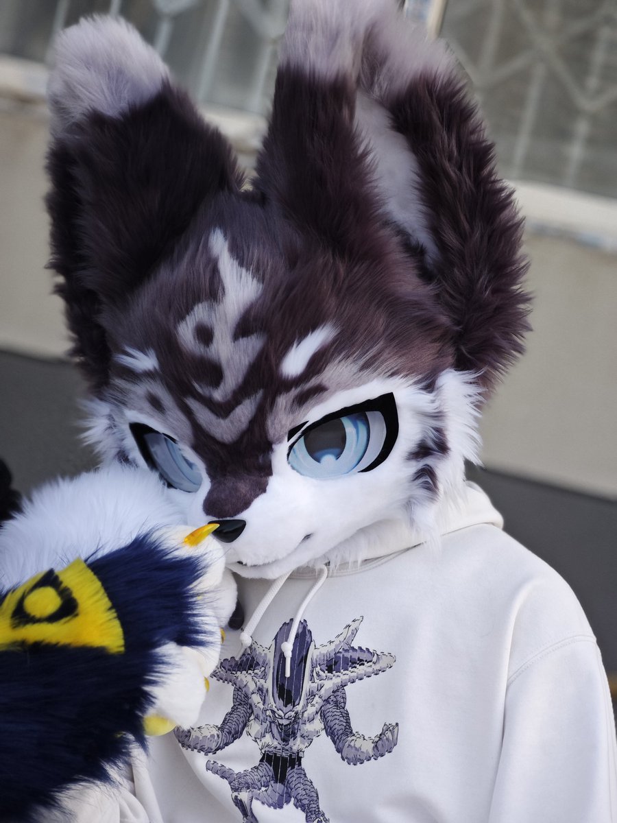 linking1210's tweet photo. 🌴fursuit Friday
好像有点晚了其实是毛六 https://t.co/A4IiMucCy8