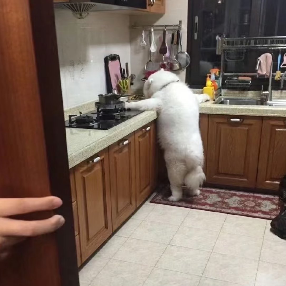 บ้บ tweet media