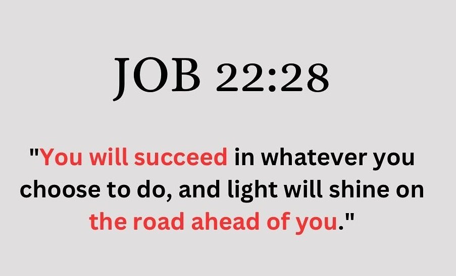 JOB 22:28