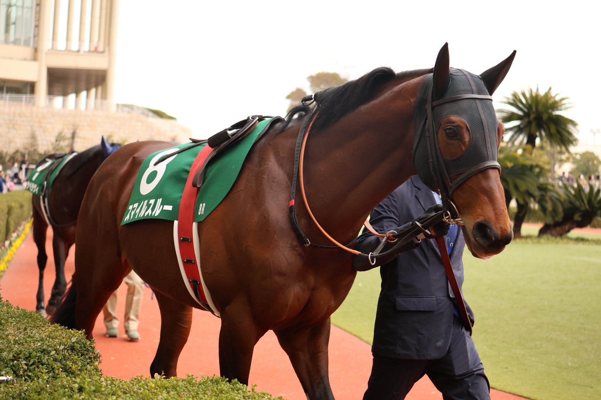JRA小倉　オグリワン 日曜小倉競馬場の注目激走馬…小倉11R小倉記念・G3