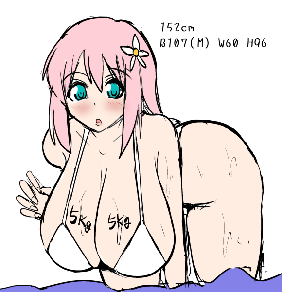 2次元キャラのバストカップサイズ、個人的には「小さい、普通、でかい、超でかい」
くらいの大雑把な目安でしかなく
あとは記号的意味の方が強いのかなとか思ってる(Gはなんか強そうとか) 