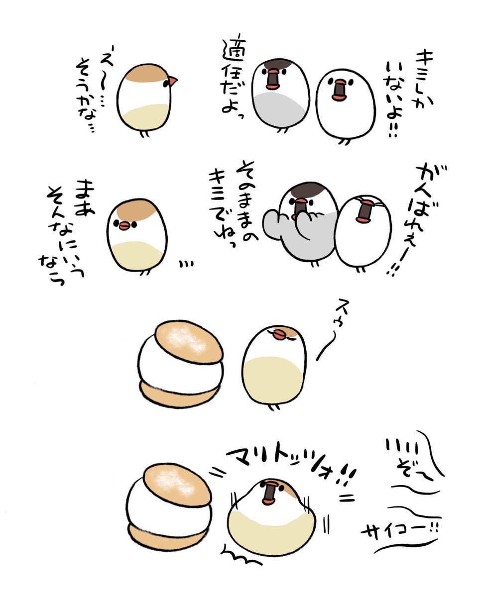 マリトッツォ! 