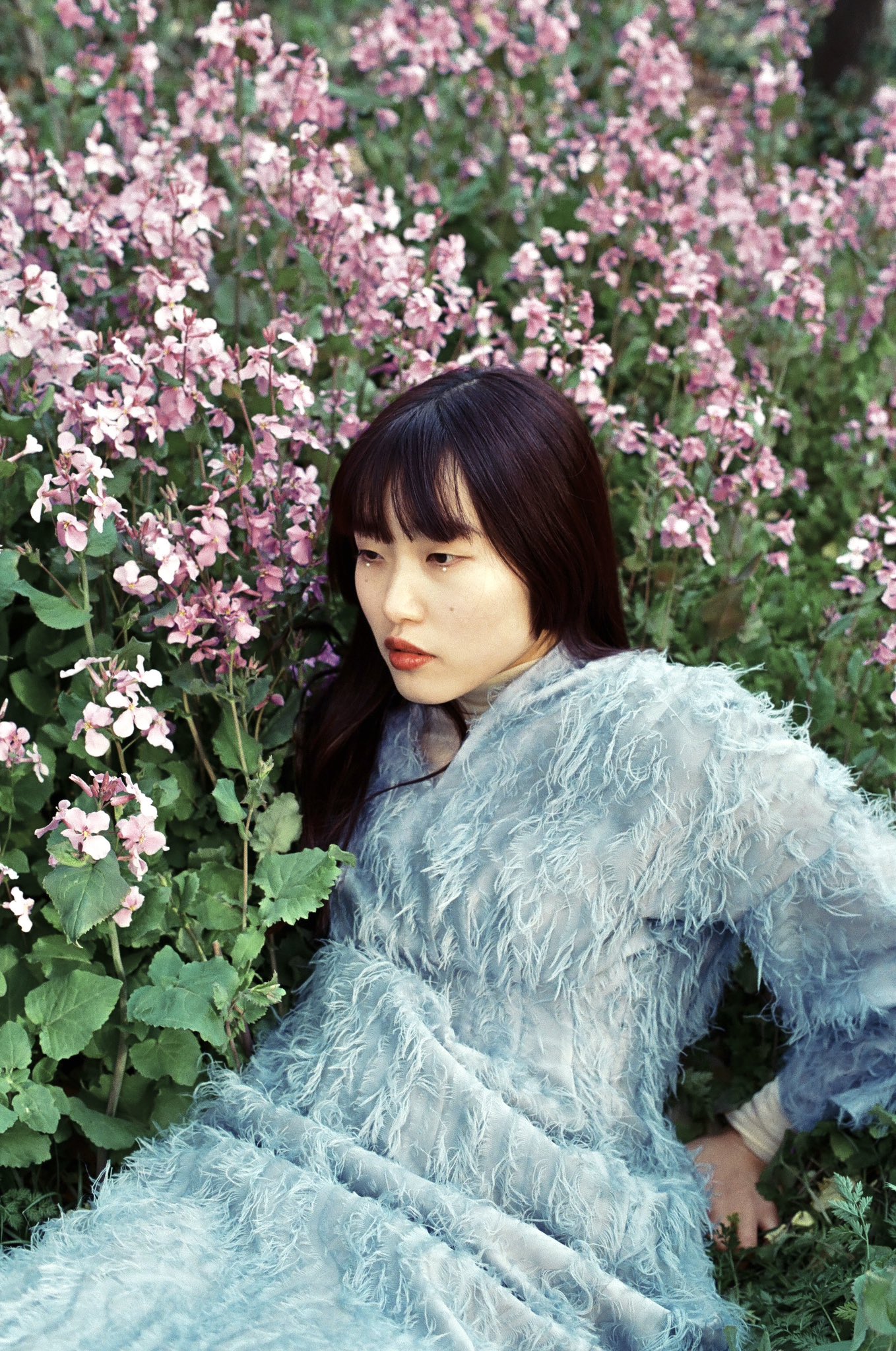 ミュージシャン kinako minako (@ph_a8) / X