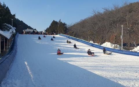 StripesPacific's tweet image. Check out these fun sledding areas near #Seoul, bases in #Pyeongtaek and #Daegu. #Korea
buff.ly/42YyQAy