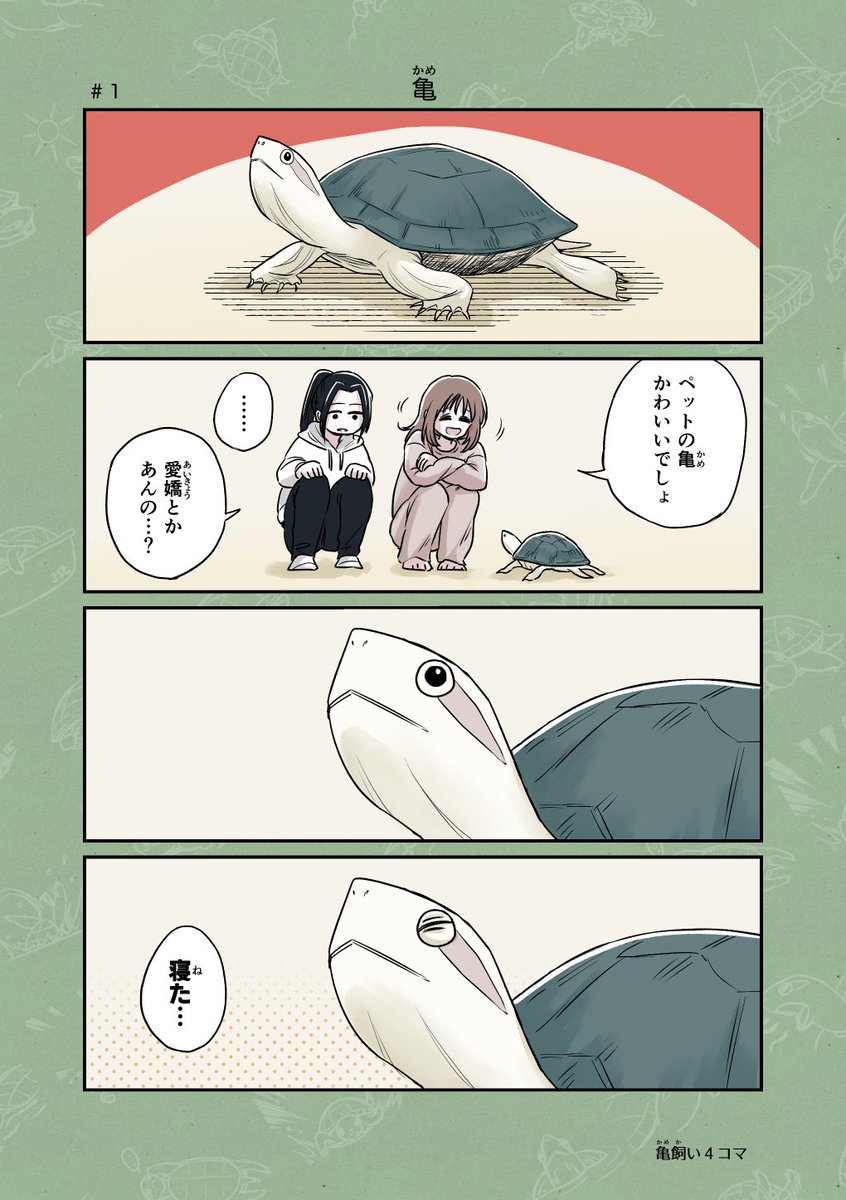 かめページ カメユ│亀と絵と漫画 on X
