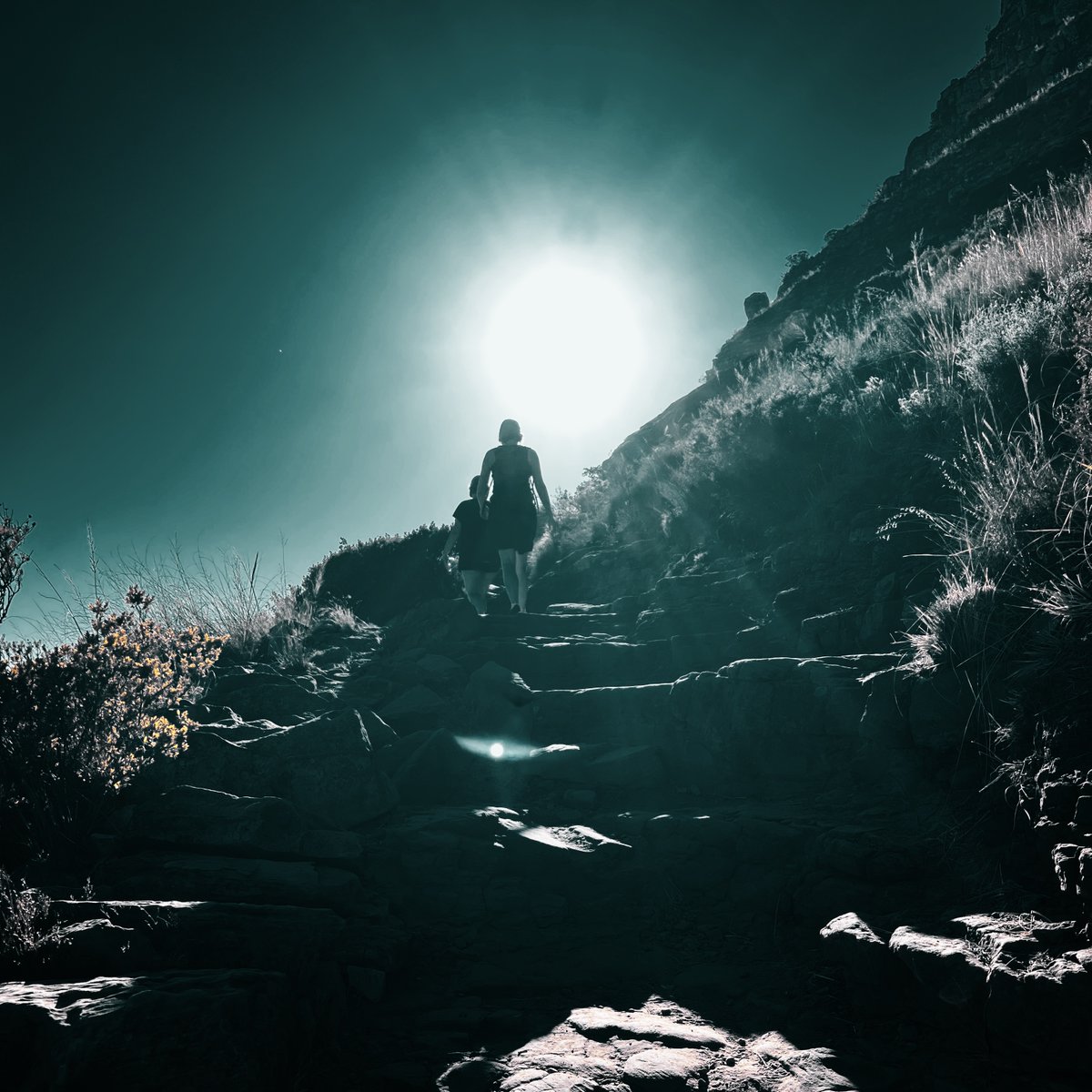 lucianopinna's tweet image. Some leisure time before a show, hiking to Lion&apos;s Head, a mountain in Cape Town.

#southafrica #affectlab #requiemfortheimpossible #photography #travelphotography #art #hiking #lionshead #capetown