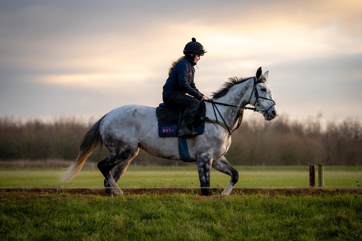 FOBRacing's tweet photo. It’s a grey day for us @Ascot
We run Greyval in the opener https://t.co/Pq2kOrvcMy