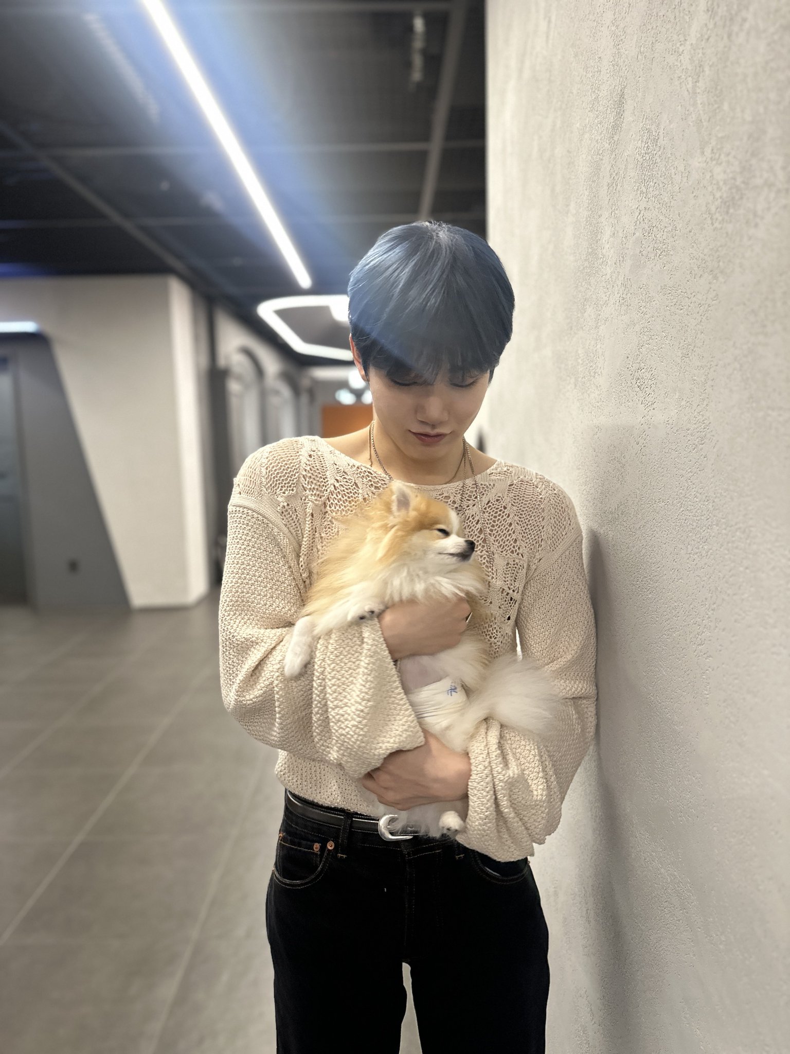 わたし on X: 