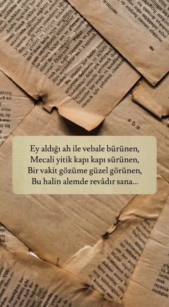 𝔞𝔩𝔟𝔞𝔩𝔦𝔞 (@birmahzunn) on Twitter photo 