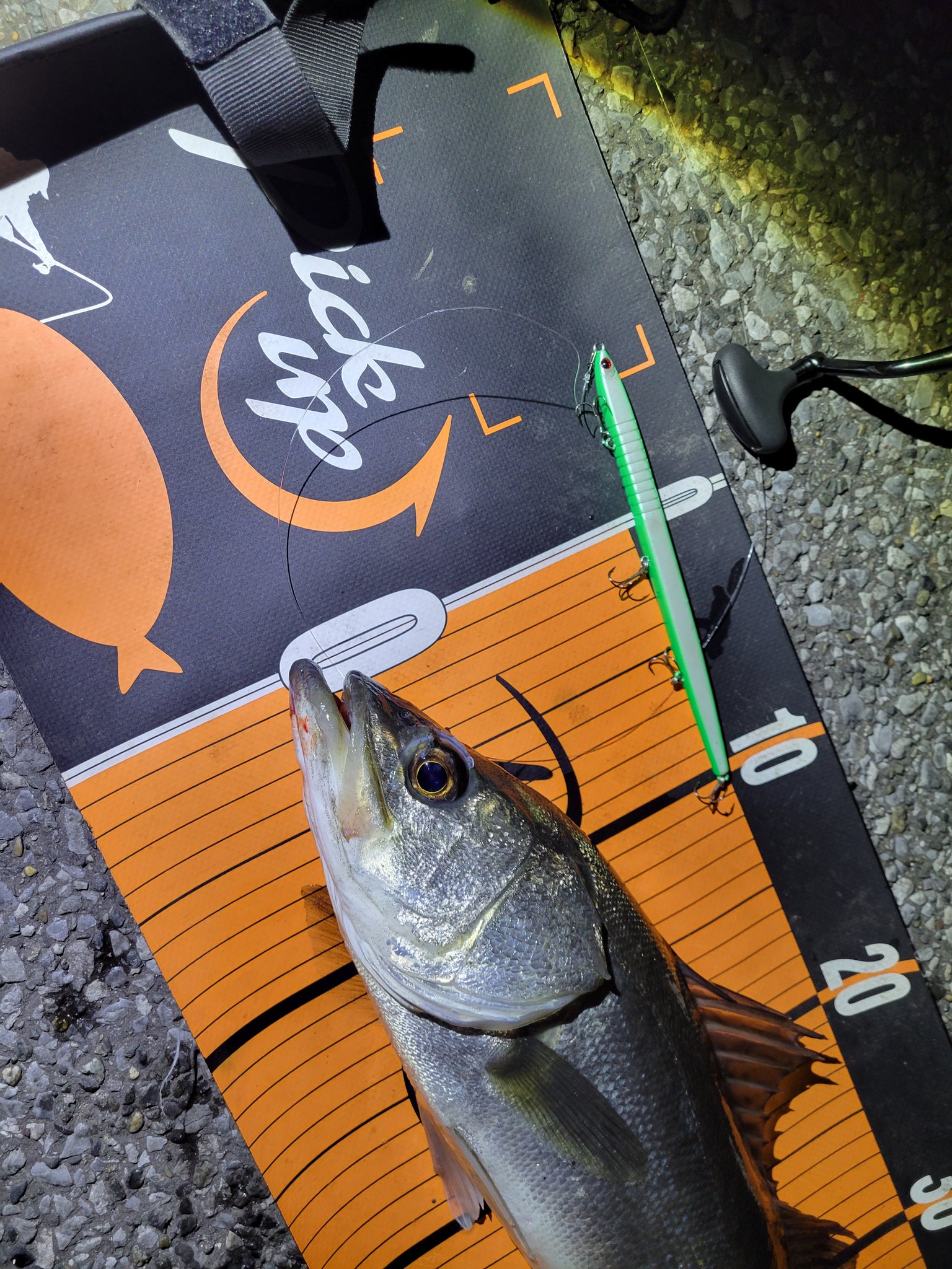 The Spot King“master plugger”13.0T The Spot King“master plugger”13.0T（ザ・スポットキング〝マスター