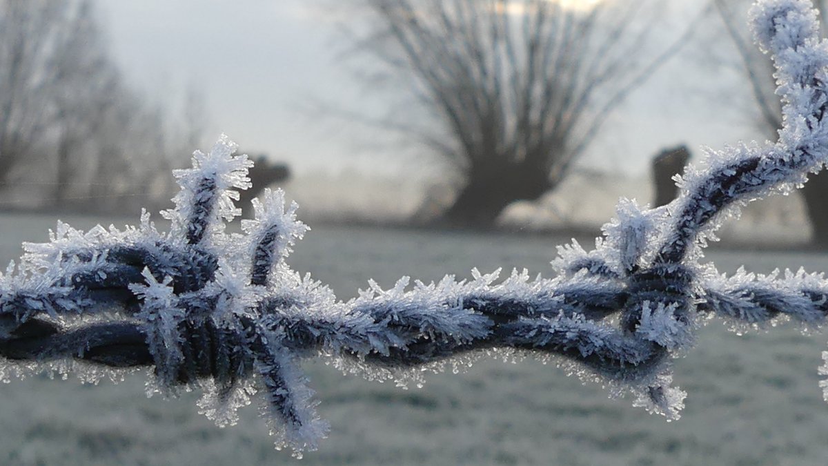 TaxFrancien's tweet photo. Het is mooi als het vriest, @Roosendaal @BuienRadarNL @Weerplaza @weeronline @weer @helgavanleur @_weernl @HetWeerVoorJou @weermanrobert @omroepbrabant @pictureofNL https://t.co/OzeYc7JkYw