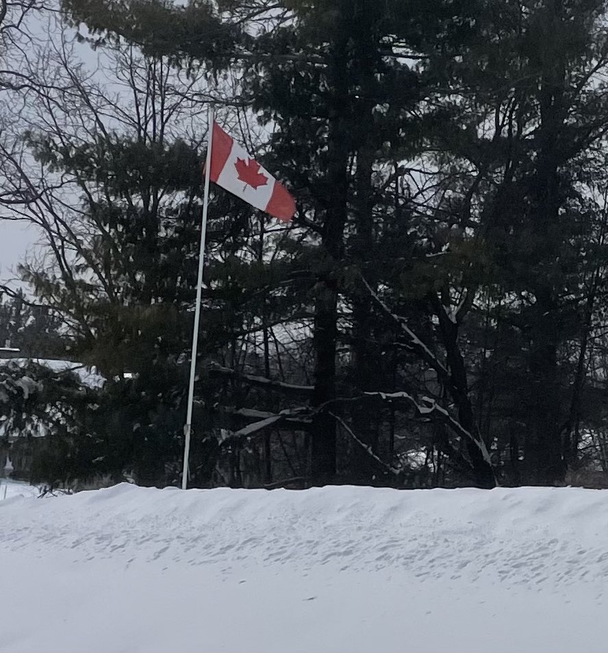 SkyeAdventures's tweet photo. Happy #FlagDay pals! I hope you have a great day!! ๐จ๐ฆ๐พ๐ #FlagOfCanada #dogsofcanada https://t.co/mdYszJBJxY