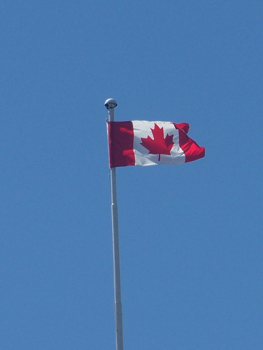 Happy National Flag of Canada Day! Proudly Canadian today and every day! ❤️🇨🇦❤️

#nationalflagofcanadaday #canadaproud #truenorthstrongandfree