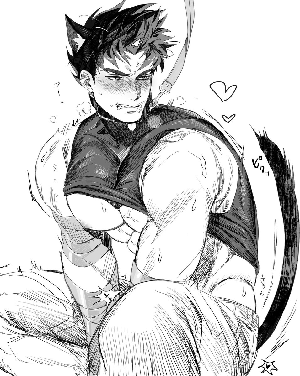 🐱🐉👊