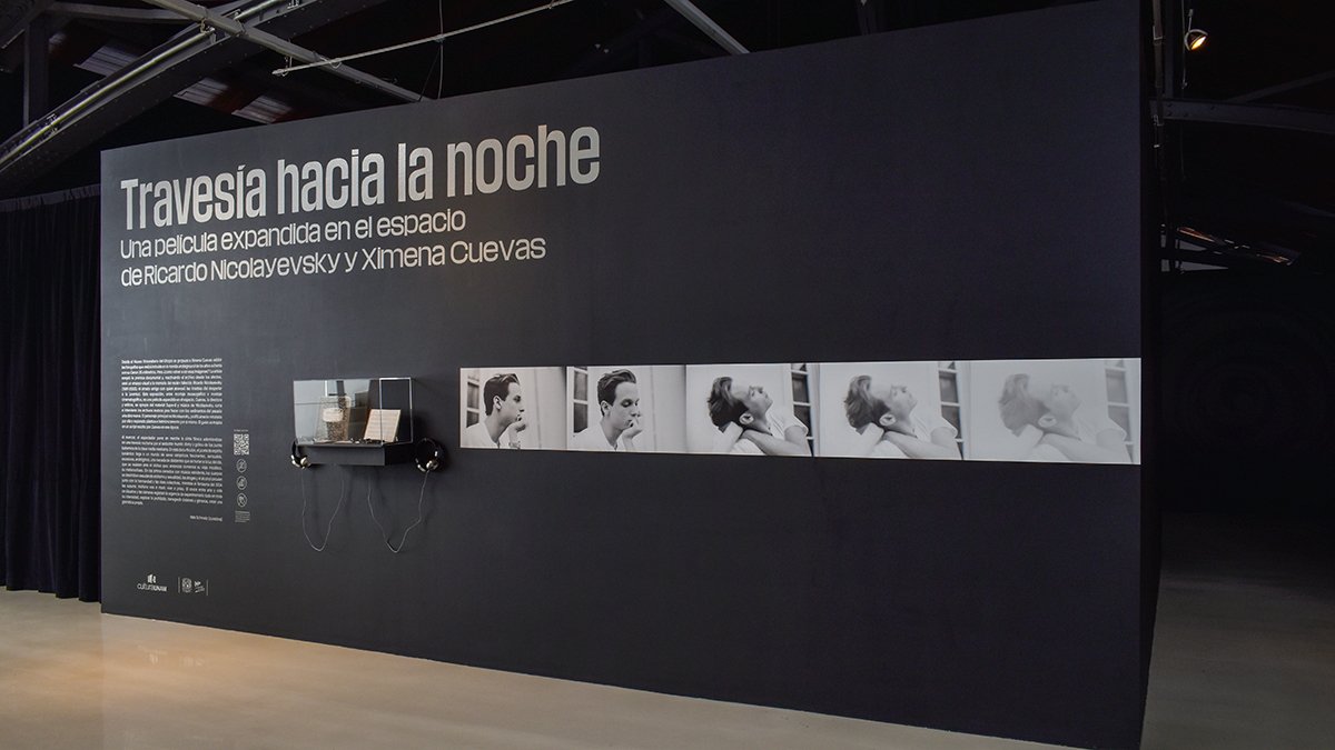 Museo del Chopo tweet media