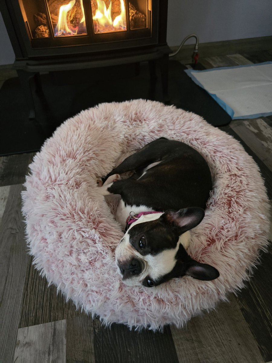 Land O' Lakes, WI is a snow globe this morning. 
Plenty of the white stuff to keep businesses snowmobile happy. 

Don't think we've had as much in the last week as SE WI, but it's winter and Luna loves her fire.

<a href="/BrianNizTMJ4/">Brian Niznansky</a> <a href="/KristenWeather/">Kristen Kirchhaine</a> <a href="/SamKuffelWx/">Meteorologist Sam Kuffel</a> @LindseySlaterTV #winter