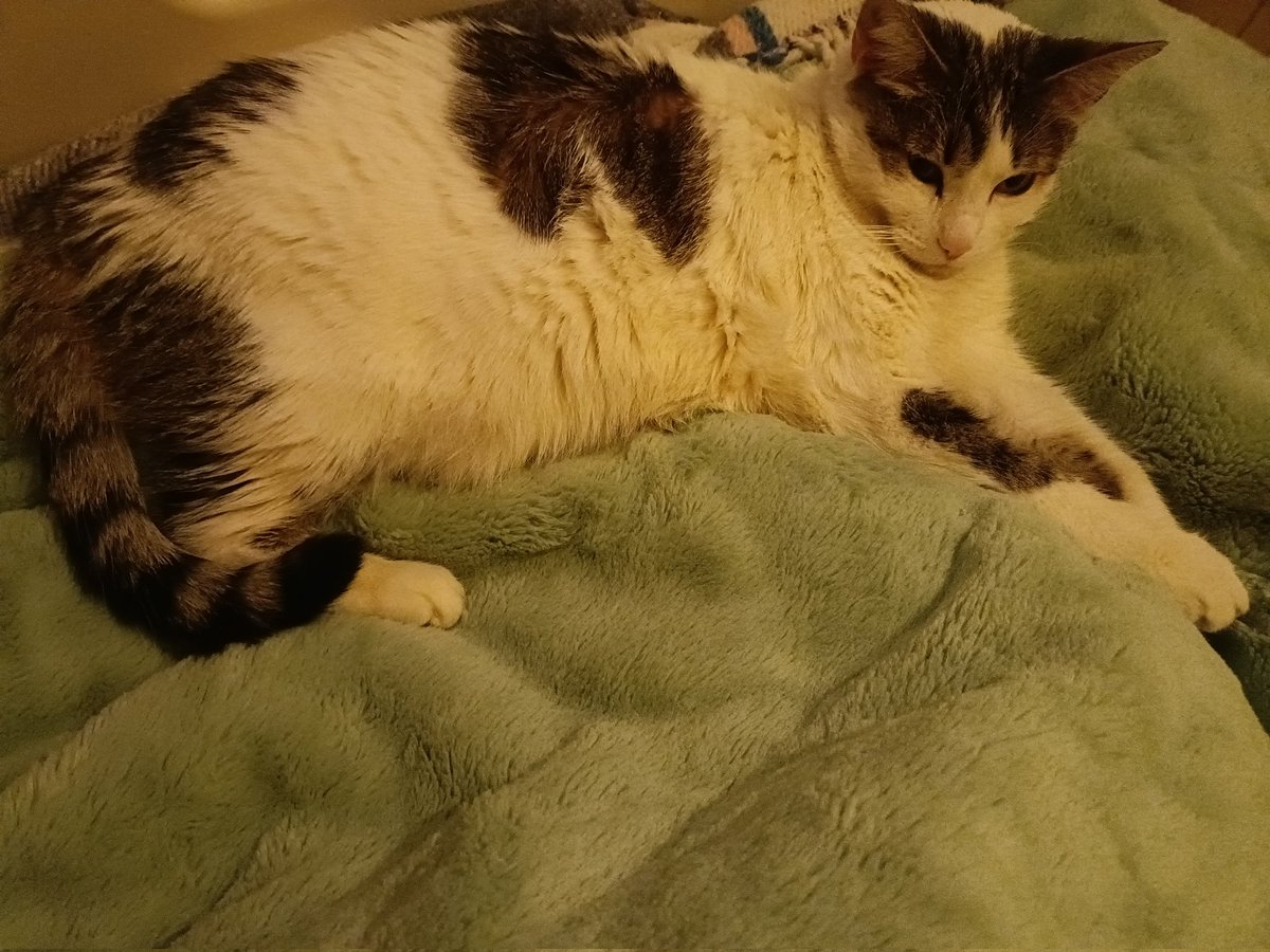 Cynthia Carolina Heredia Salazar tweet media