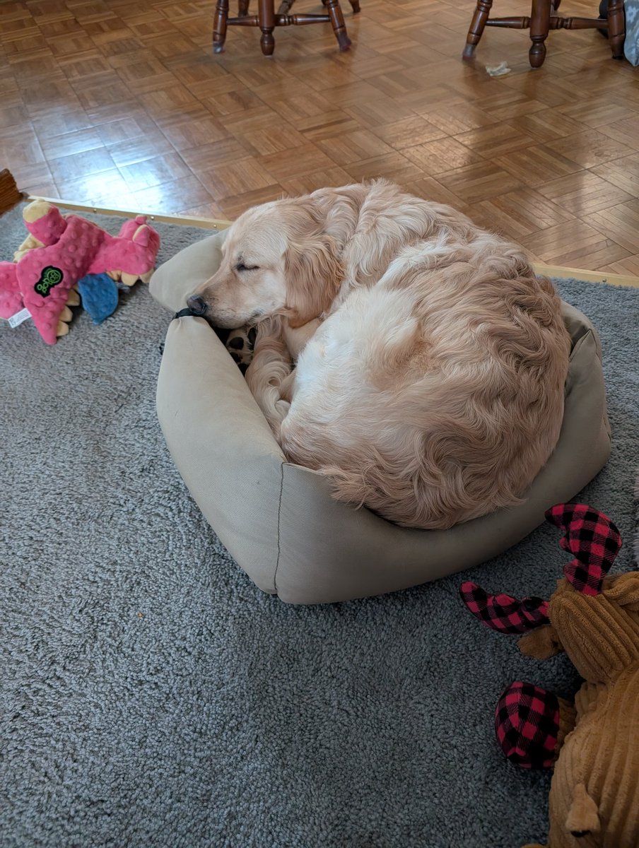 Kellummaul (@kellummaul404) on Twitter photo 