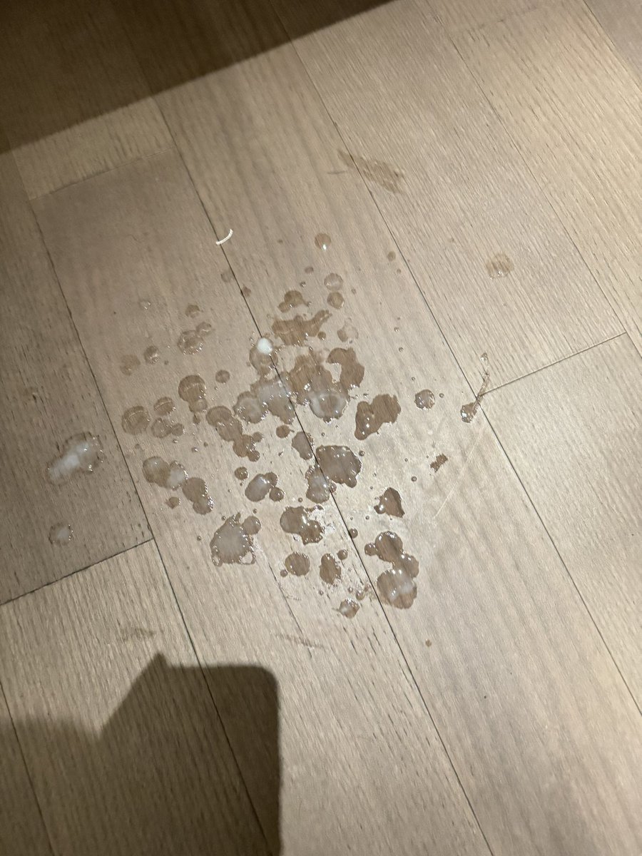 情人节的联名！