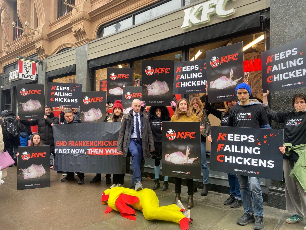 humaneleagueuk's tweet photo. As protesters gather outside KFC’s flagship Leicester Square store, the pressure is on KFC to stop welfare washing and stop selling Frankenchickens. @KFC_UKI what the cluck are you waiting for? #KentuckyFriedCruelty https://t.co/OXxXH6GMWT