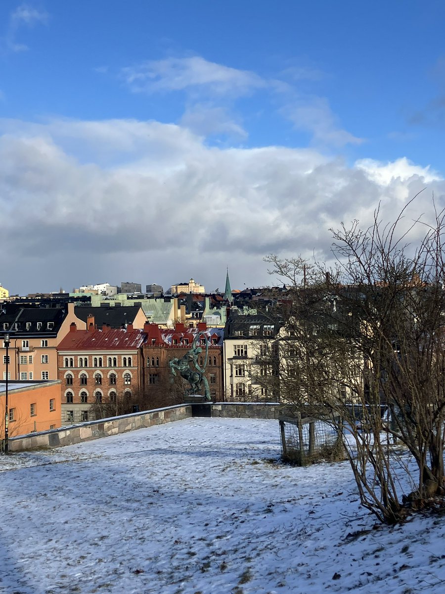 PrevotCecile's tweet image. Couleurs hivernales #Stockholm #Sverige #Suède #Sweden #Svezia