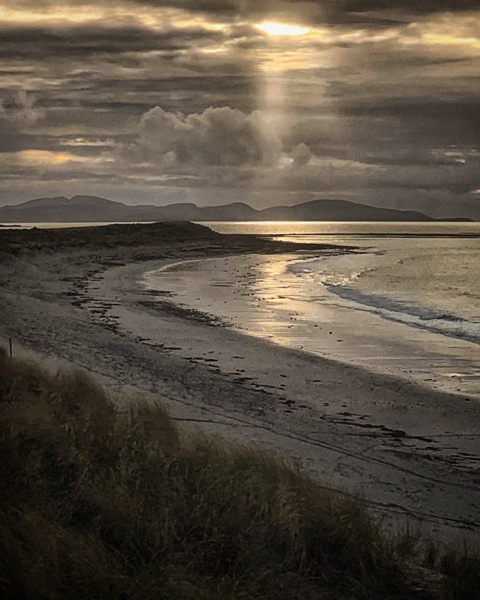 DaliMach tweet media