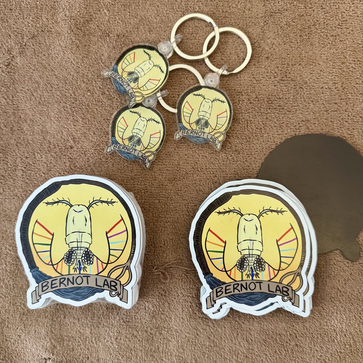 Jimmy Bernot, PhD 🦐🔬🧬🏳️🌈 tweet media