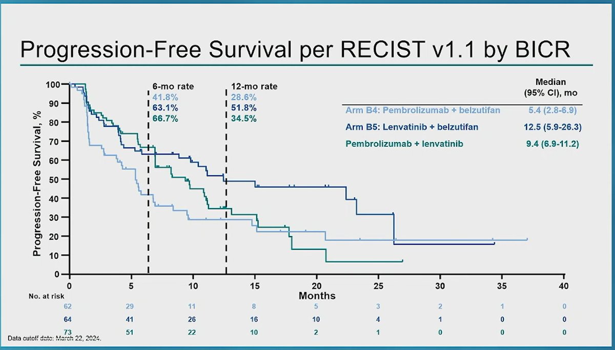KEYMAKER-U03 Subestudio 03B: buscando nuevas combinaciones
Lenvatinib ➕ belzutifan ha demostrado actividad antitumoral duradera en pts  con #CáncerDeRiñón
#PembroBelzutifan
#GU25 
#PembrolizumabLenvatinib