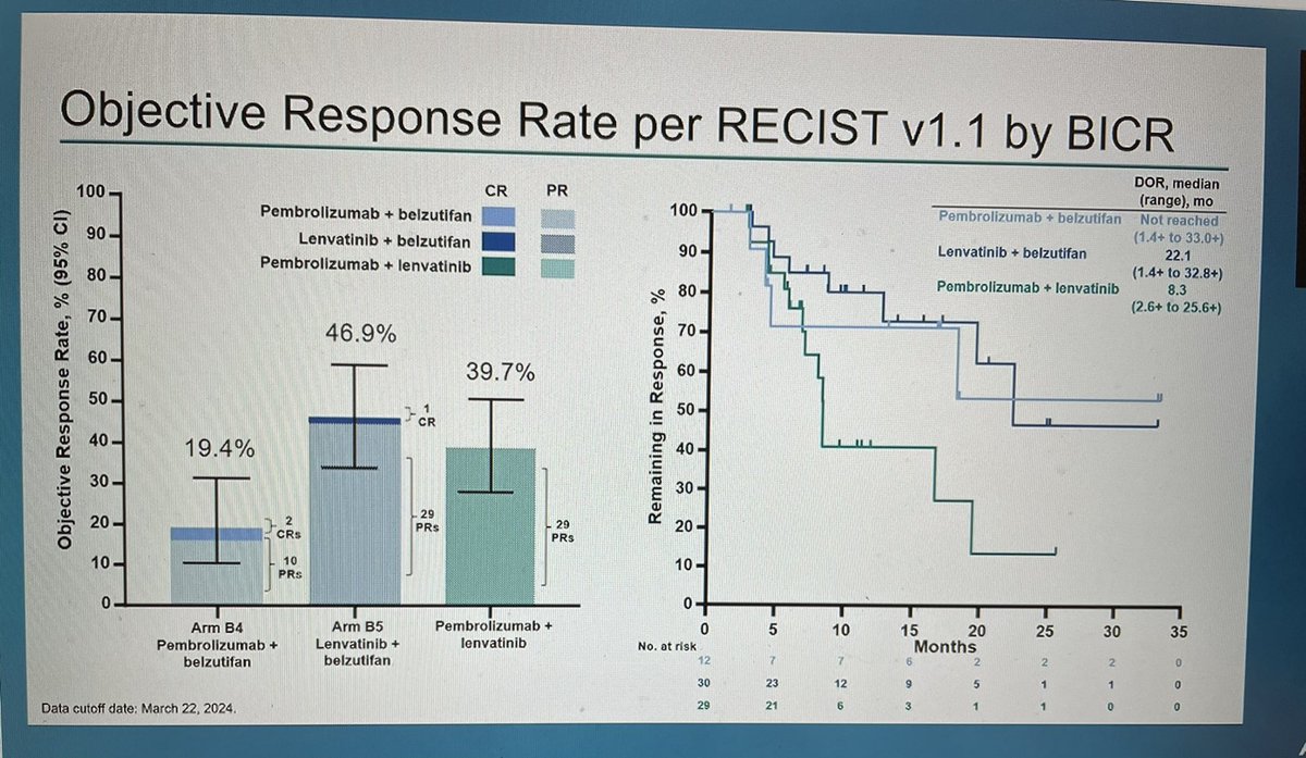 Jun Gong tweet media