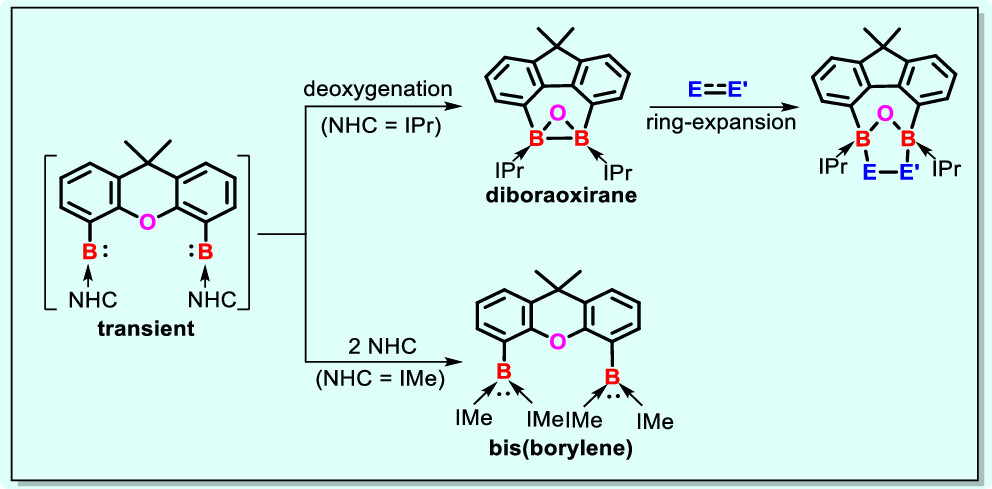 Boron-Chem-Research (@boron_chemistry) on Twitter photo From Bis(borylene)-Substituted Xanthenes as Reactive Intermediates to Diboraoxirane Complexes (<a href="/J_A_C_S/">J. Am. Chem. Soc.</a>): pubs.acs.org/doi/full/10.10… (<a href="/DriessLab/">Driess Group</a>). From Bis(borylene)-Substituted Xanthenes as Reactive Intermediates to Diboraoxirane Complexes (<a href="/J_A_C_S/">J. Am. Chem. Soc.</a>): pubs.acs.org/doi/full/10.10… (<a href="/DriessLab/">Driess Group</a>).