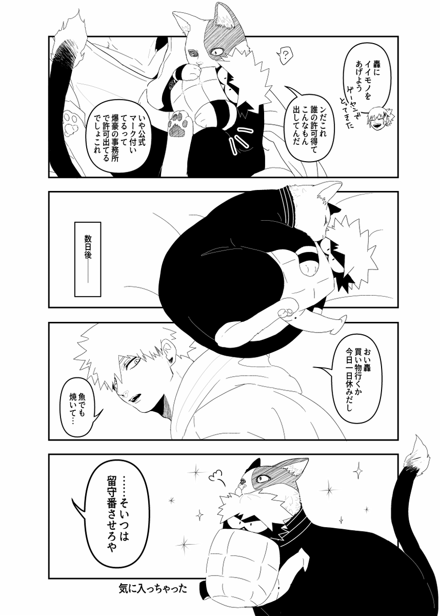 BKTD ショキャのお気に入り