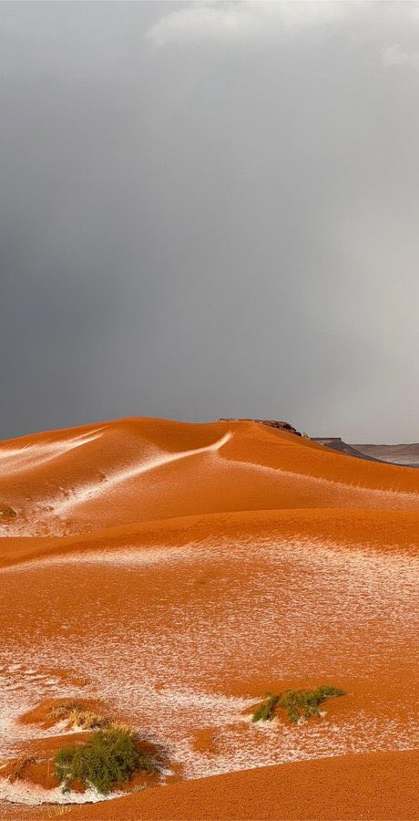 خالد السلطان| KHALID ALSULTAN tweet media