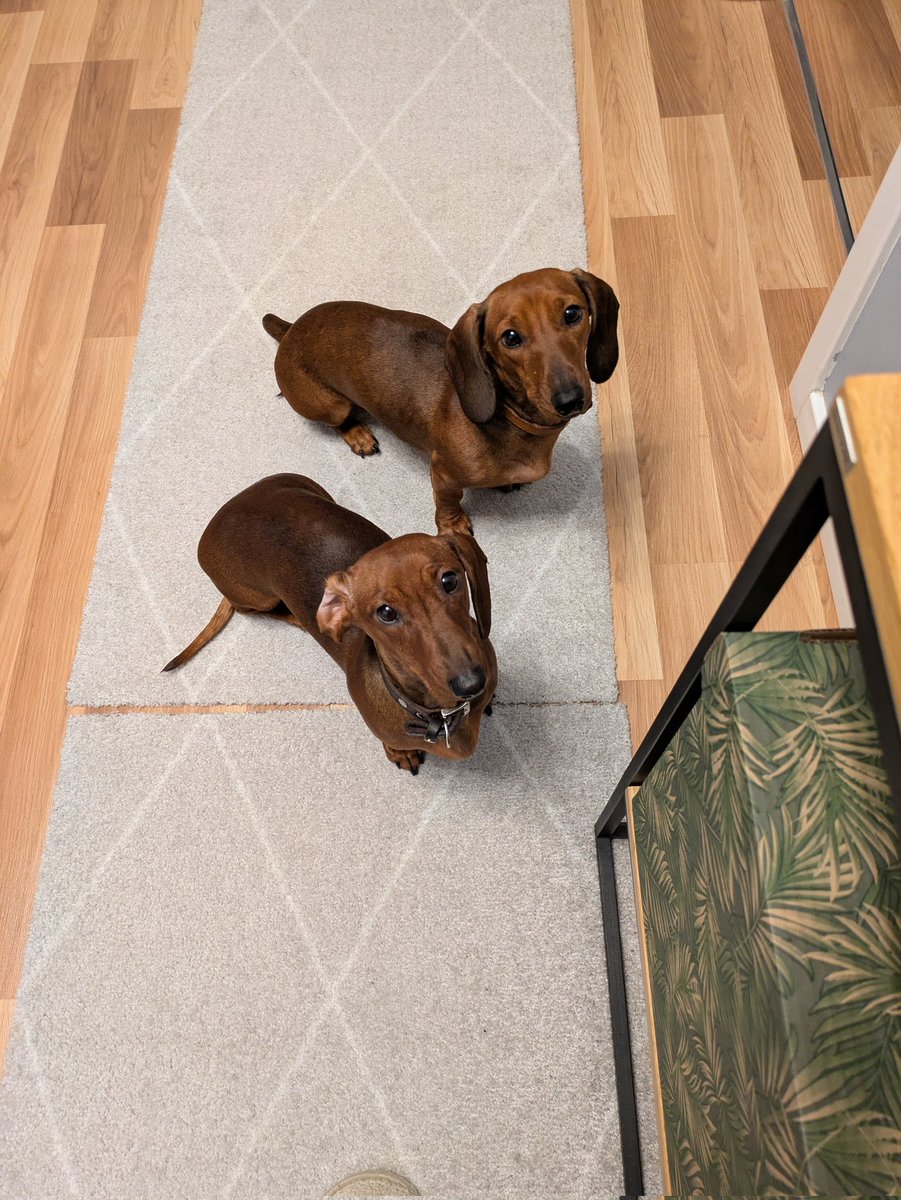 вирус эпштейна-барр tweet media