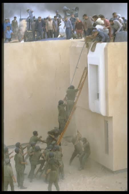 MinoMe1980's tweet image. It ended up Egypt having all of its land Cleared from Israeli Existence #Yamit