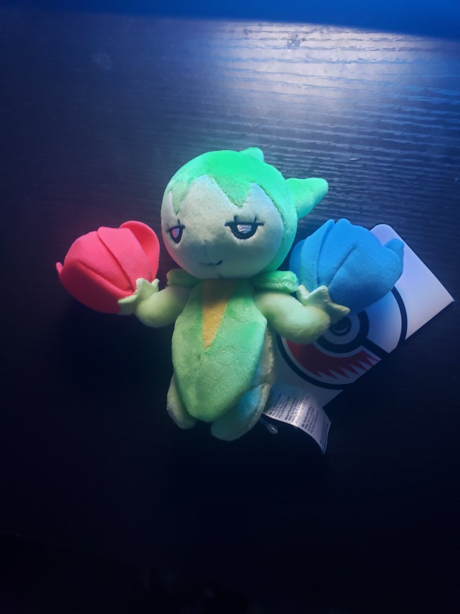 The Shiny Shack tweet media