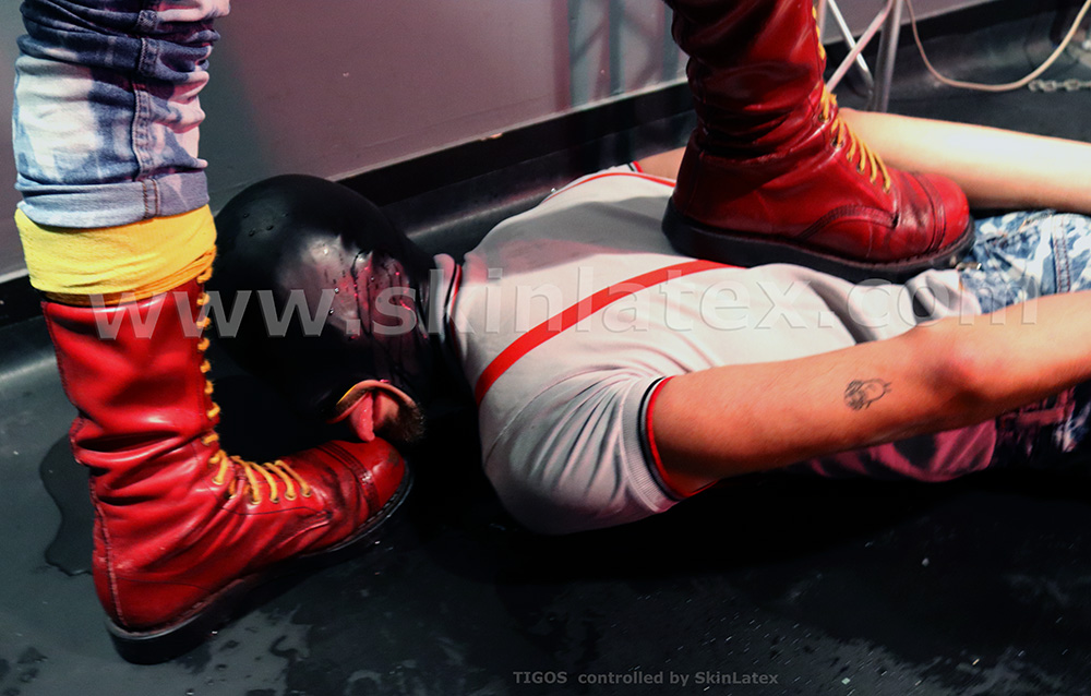 [January 2025 - with <a href="/tigos_sub/">tigos</a> - Pic 5]

And roll into my piss while you lick my boots !

#SkinLatexPicture #Skinheads #RubberHood #BootLicking